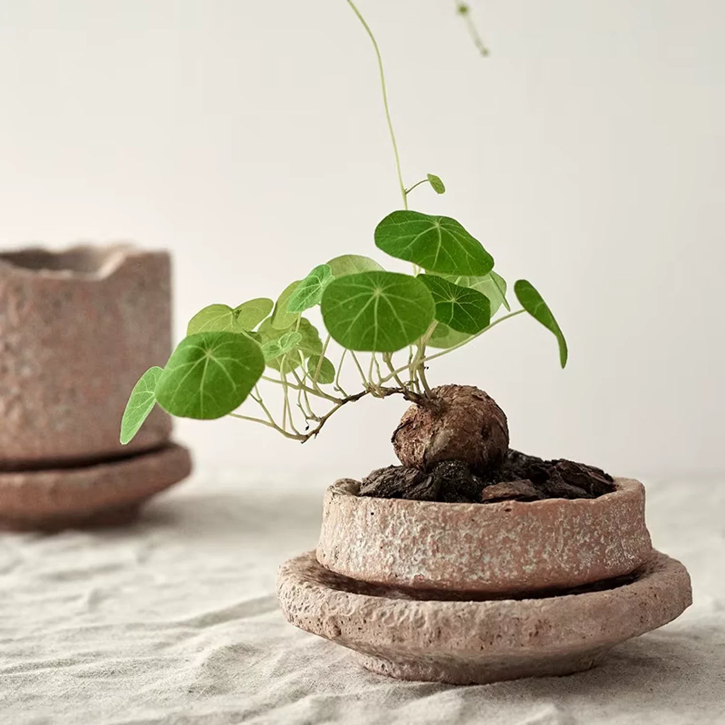 Handmade Terracotta Pot Set